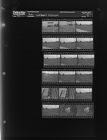 Garland's Feature (18 Negatives), November 1 - 2, 1964 [Sleeve 2, Folder c, Box 34]